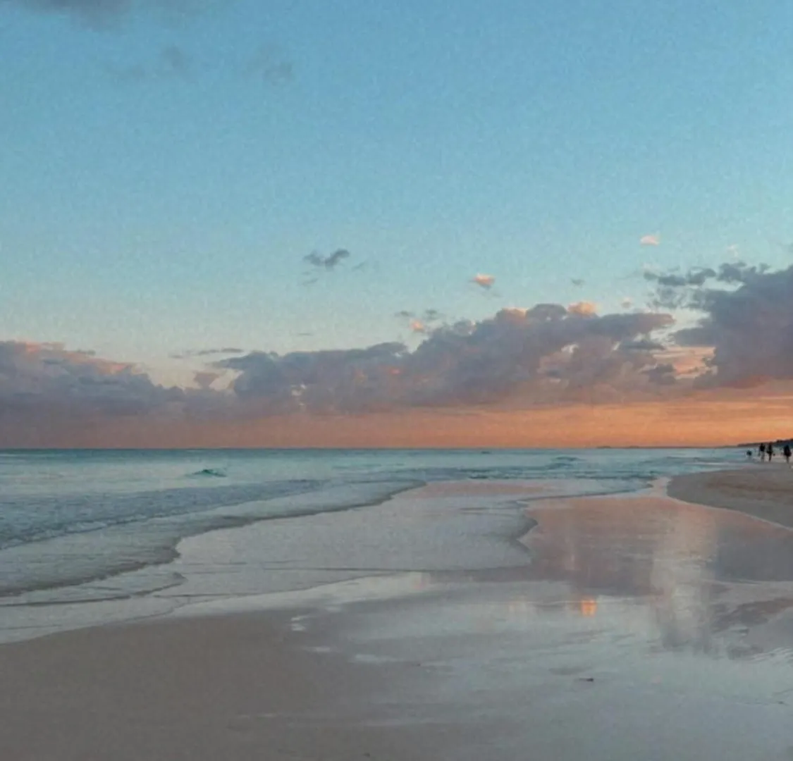 Luxury 2Bdr Apt With Direct Pool In Paramar Black Tulum